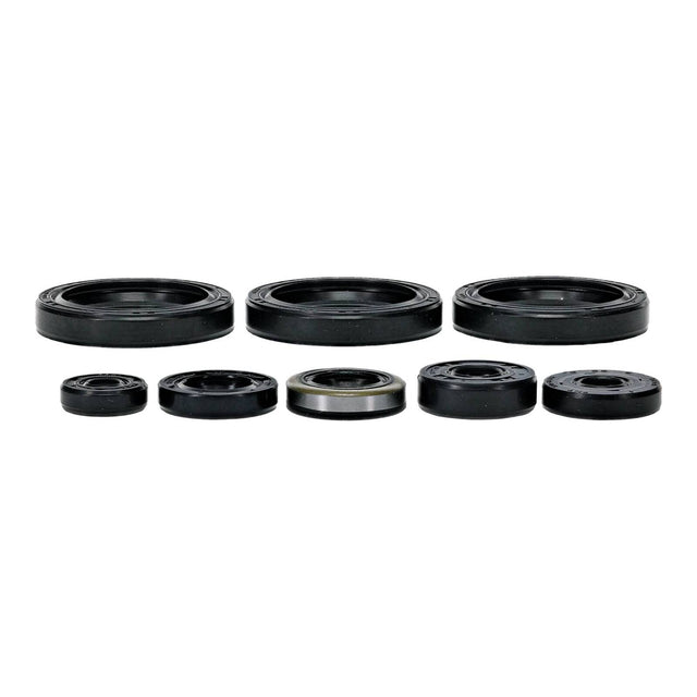 Oil Seal Kit 822403
