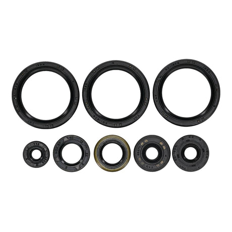 Oil Seal Kit 822403