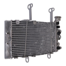 Load image into Gallery viewer, Whites Radiator - KTM / Husqvarna 450 Rally / FR450 Rally '19-'22