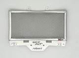 CFMOTO 450MT/Ibex 450 2024+ Radiator Guard