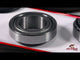 Lower Stearing Stem Kit - Honda TRX300EX '93-'08