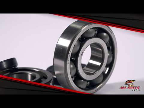 Crank Shaft Seal Kit 24-2010
