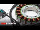 STATOR KTM SX XC XC-W 150 200 250 300 07-17 (RMS010-101534)