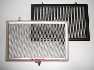 Kawasaki Z800 2013-2017 Radiator Guard