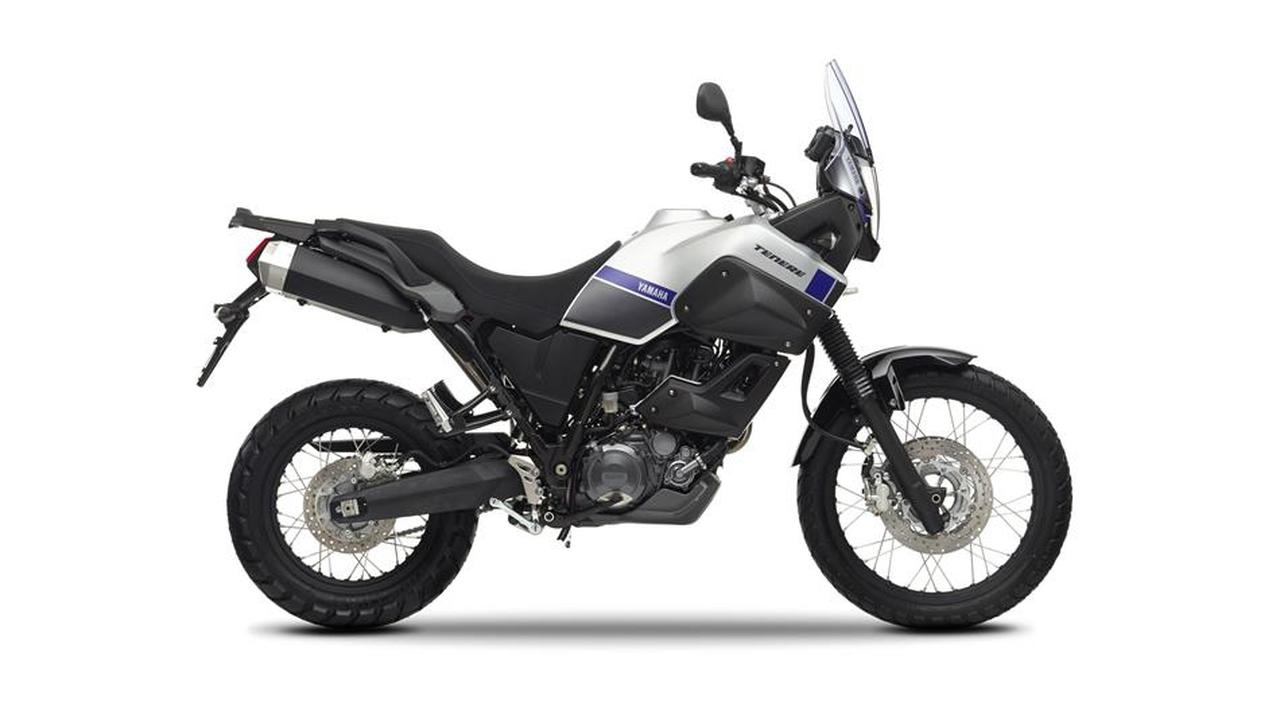 Yamaha XT660Z Tenere 2008-2018 Radiator Guard