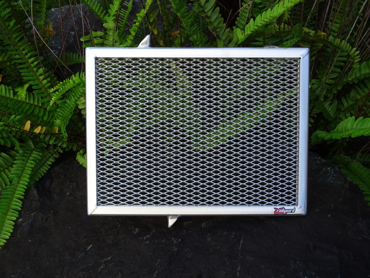 Triumph Trident 660 2021-2023 Radiator Guard