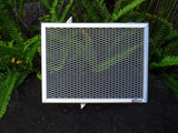 Triumph Trident 660 2021-2023 Radiator Guard