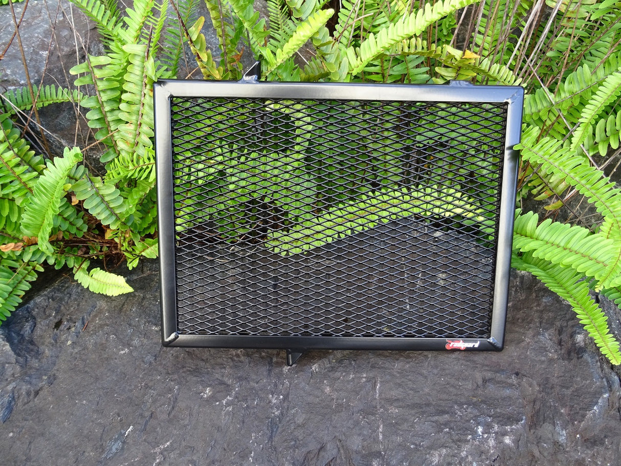 Triumph Trident 660 2021-2023 Radiator Guard