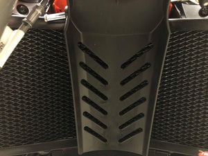 KTM 790 Adventure & R 2019-2021 Radiator Guard