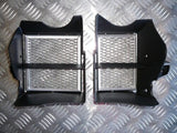 BMW G650GS 2008-2017 Radiator Guard Set
