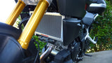 Suzuki DL1000 2014-2019 Radiator Guard