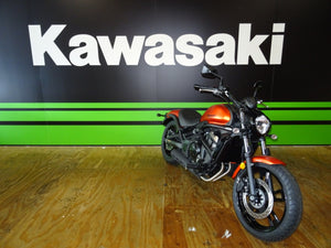 Kawasaki Vulcan 650 S / ABS / Cafe /SE 2015-2022 Radiator Guard
