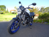 Suzuki SV650 / X / XA 2016-2023 Radiator Guard