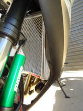 Load image into Gallery viewer, Kawasaki ZX-10R / Ninja ZX10RR / Ninja ZX10R SE 2017- 2020 Radiator Guard