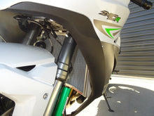 Load image into Gallery viewer, Kawasaki ZX-10R / Ninja ZX10RR / Ninja ZX10R SE 2017- 2020 Radiator Guard