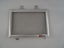 Load image into Gallery viewer, Husqvarna 401 Svartpilon/Vitpilen 2018-2021 Radiator Guard