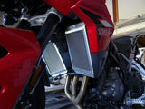 Triumph Tiger 900 GT Pro / Rally 2020 - 25 Radiator Guard