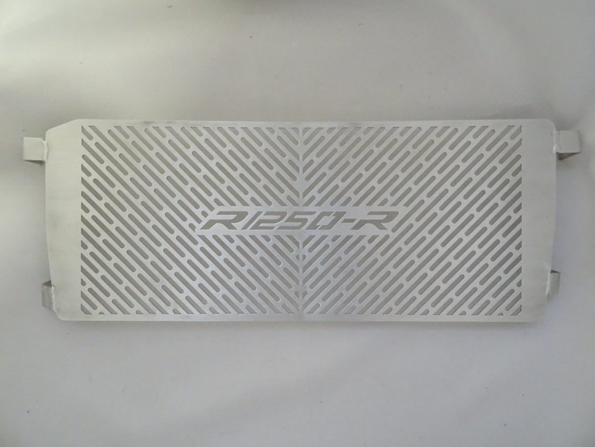 BMW R1250 R 2019-2023 Radiator Guard