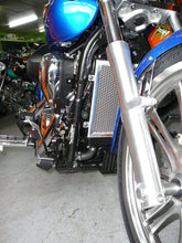 Load image into Gallery viewer, Kawasaki Vulcan 900 Classic, Custom &amp; LT 2006-2023 Radiator Guard