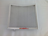 Triumph Daytona 675 & 675R 2013-2017 Radiator Guard