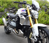 BMW R1250 R 2019-2023 Radiator Guard